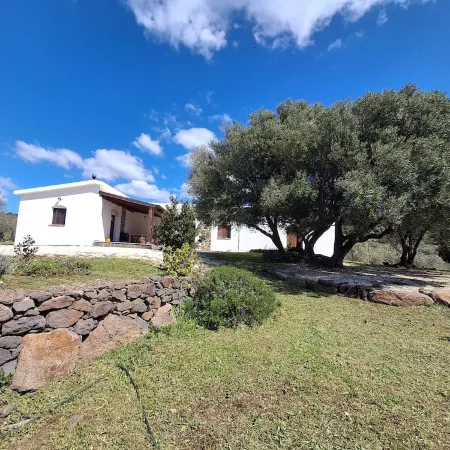 Sa Carruba - Typical rural house surrounded by greenery with panoramic views