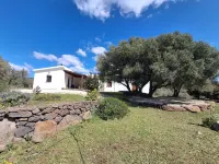 Sa Carruba - Typical rural house surrounded by greenery with panoramic views