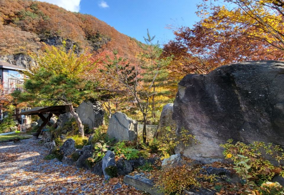 정선 아우라지강변펜션