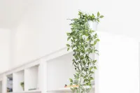 GuestReady - Feels like Heaven - بوتيك