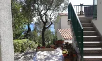 Apartments and Room Marin