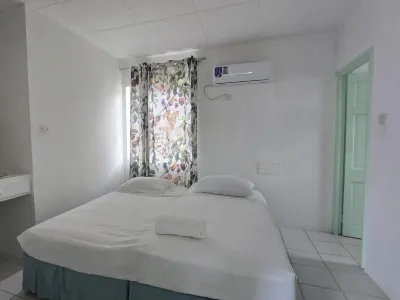 Classic One-Bedroom Apartment W King bed Hotels in 
