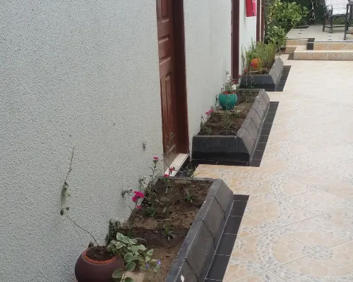 Raha Leo Inn Khu vực công cộng Photos