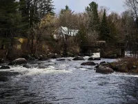 MacTaverne Hotels in Val-David
