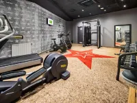 Ibis Styles Szczecin Stare Miasto  (Old Town) - Gym