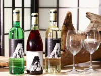 Hotel Fuji - bar