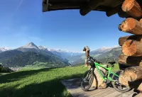 Naudererhof - 4-Stern-Superior - Mountain view