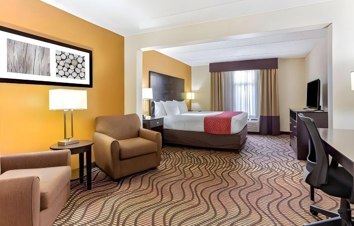 Comfort Inn & Suites Tampa North I-75