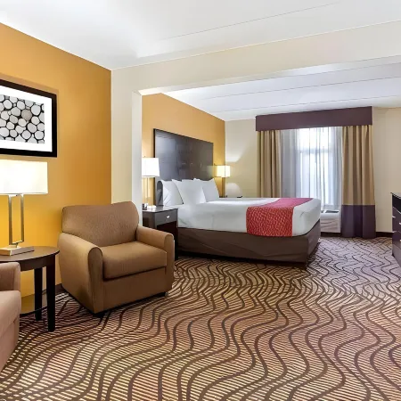 Comfort Inn & Suites Tampa North I-75