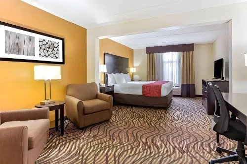 Comfort Inn & Suites Tampa North I-75 - Park Yeri