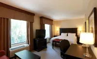 Hampton Inn & Suites by Hilton Laval - Pools