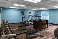 Fairfield Inn & Suites Atlanta Alpharetta - Gym