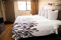 Red Roof Inn Rochester - Henrietta - Moteles