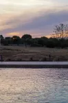 Masseria Pastinaca Relais & Spa - breakfast