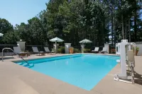 Hampton Inn Cartersville - Pools