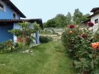 La Casa Blu Apartment in Villa with Exclusive Use of the New Pool Garden, Unesco