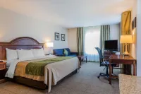 Comfort Inn & Suites Hotels in South Burlington