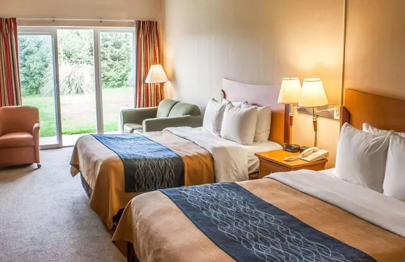 洋濱市舒適酒店