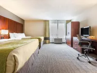 Comfort Inn & Suites Hotels near Orchard Express