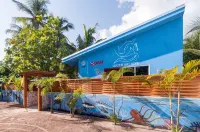 South Ari Dive Center