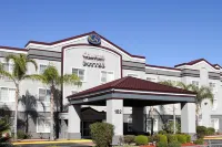 Comfort Suites Fresno River Park Hotels near Cedar Tree Village