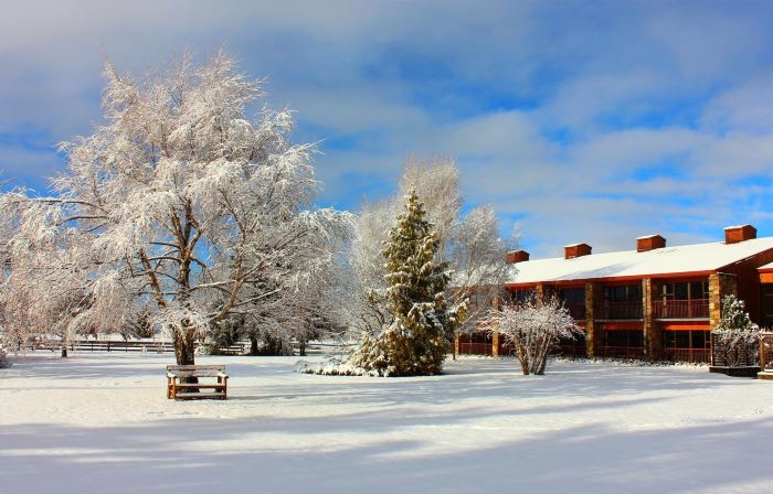 Distinction Mackenzie Country Hotel