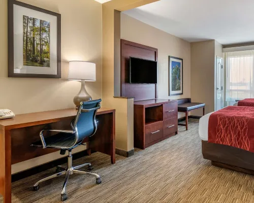 Comfort Inn & Suites Hotels in Tift County