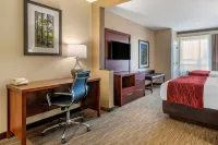 Comfort Inn & Suites Hotels in Tifton
