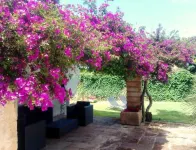 Agroturisme Son Pons - Farmhouses