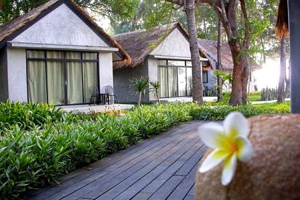 Hansar Casuarina Cha am(หรรษา คาชัวรินา ชะอำ)_1