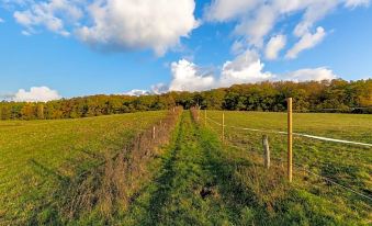 Gut Sarnow - Hotel, Restaurant Und Reitanlage