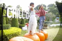 Chill Chill Farm Resort Hotels in Lom Kao