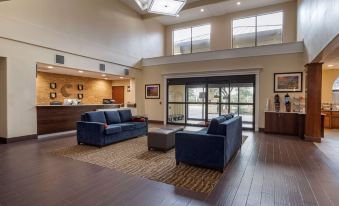 Comfort Suites Near Texas Medical Center - NRG Stadium