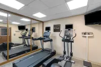 Homewood Suites by Hilton Memphis - Germantown (at Campbell Clinic) - Gym