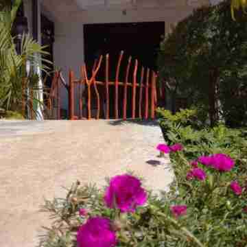 Sigiriya River Side Home Stay Hotel Exterior