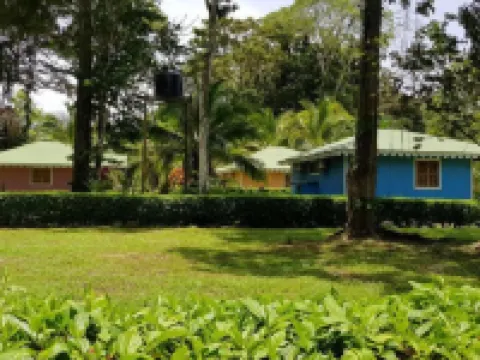 Ciudad Perdida EcoLodge Hotels in Cahuita