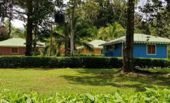 Ciudad Perdida EcoLodge