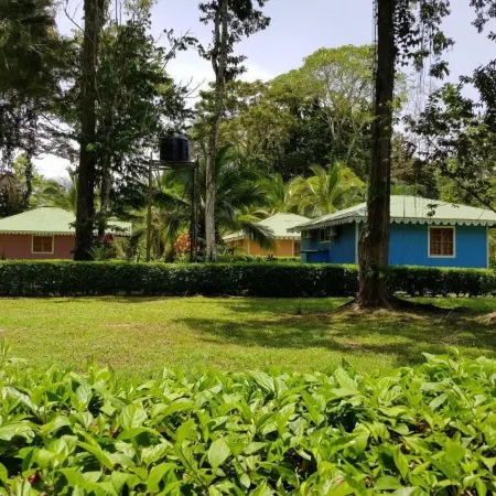 失落城市生態小屋