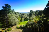 Forest Resort Suites Skiathos - View biển