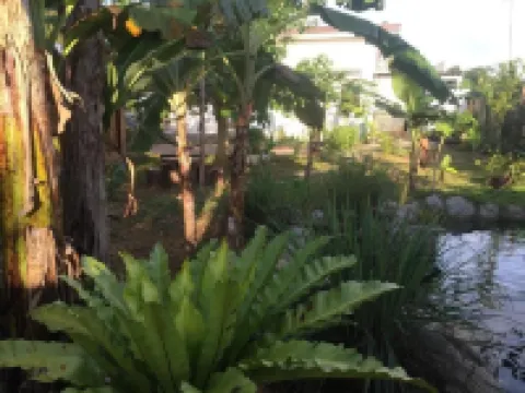 Terreza's Place Hotels near Panglao Beach
