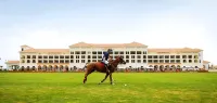منتجع الحبتور بولو Hotels near جامعة زايد