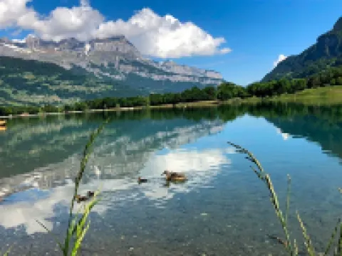 Le Moulin des Olirics Hotels in Sallanches