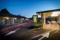 Avenue Motel Palmerston North Hoteles cerca de Universidad Massey