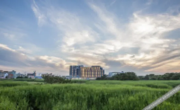 Seongsan Marina Hotel Hotels near Seongsan Ilchulbong