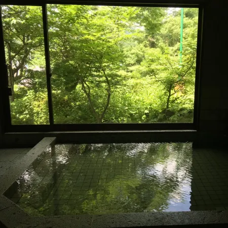 Miyori Furusato Taikenmura
