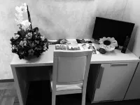 Hotel L'Aretino - pet friendly