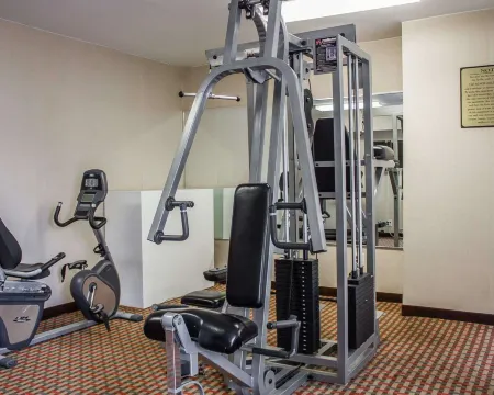 Rodeway Inn MacArthur Airport Отели в г. Холбрук