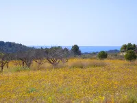 Vicent Hotels in Benissa