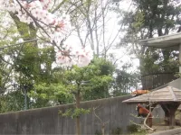 Kobase Hotels in Echizen