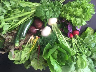 その他 EMウェルネス 暮らしの発酵ライフスタイルリゾートの写真